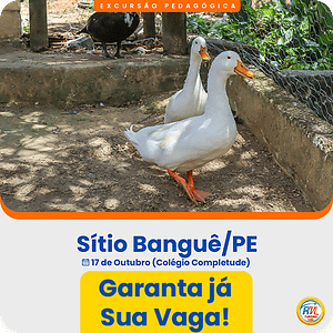 Sítio Banguê/PE - Colégio Completude - 17 de out. de 2025